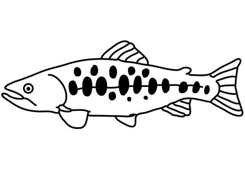 Formosan Landlocked Salmon (Oncorhynchus Masou Formosanus) Coloring Page